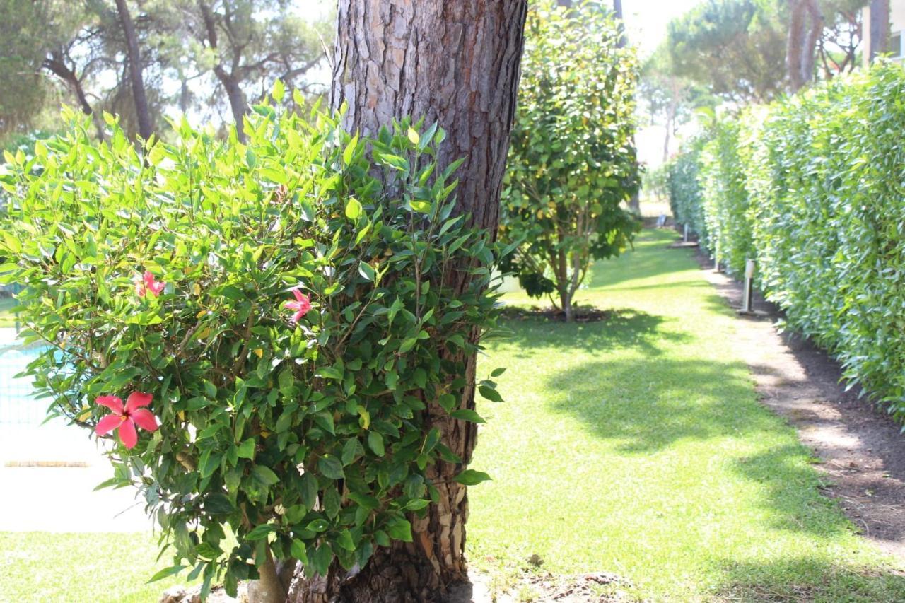 The Pinewood Villa Vilamoura Exterior photo