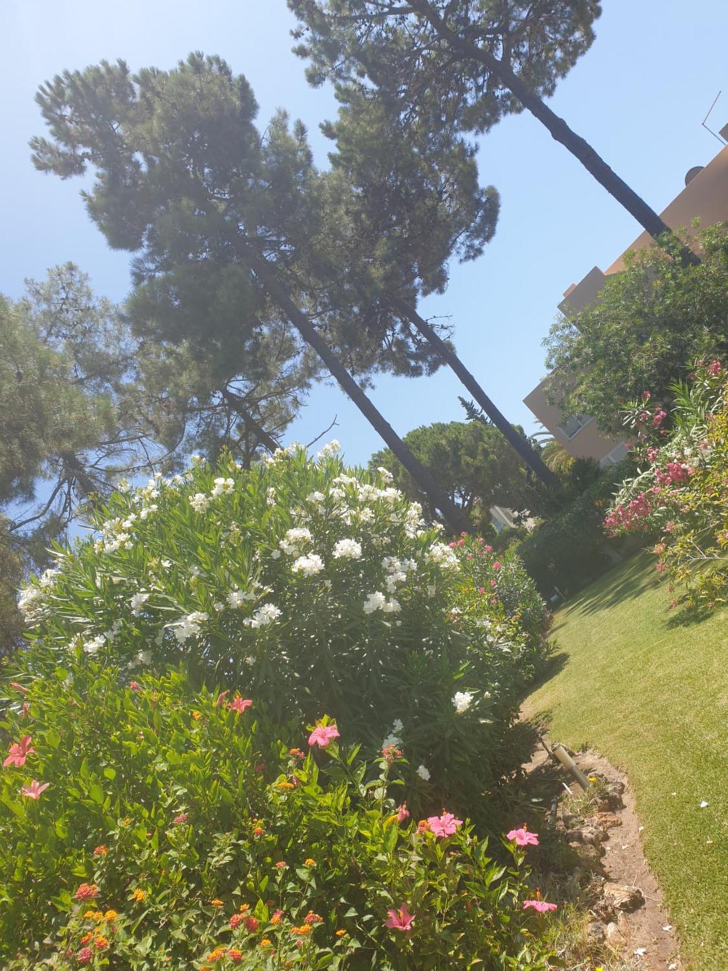 The Pinewood Villa Vilamoura Room photo